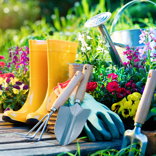 Have You Heard of Garden Therapy?