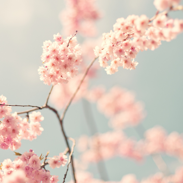 5 Tips to Build Confidence