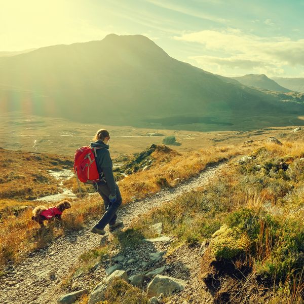 3 Major Benefits of a 15 Minute Daily Walk